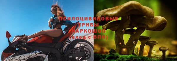 прущий лед Армянск
