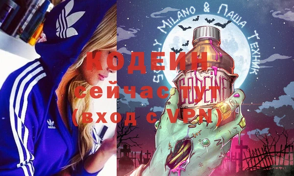 гашик Аркадак